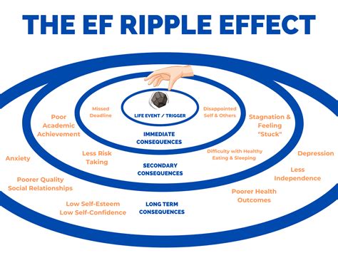 The Ultimate Guide To Executive Function Coaching Life Skills Advocate