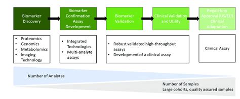 2 Typical Biomarker Discovery And Validation Workflow Adapted From