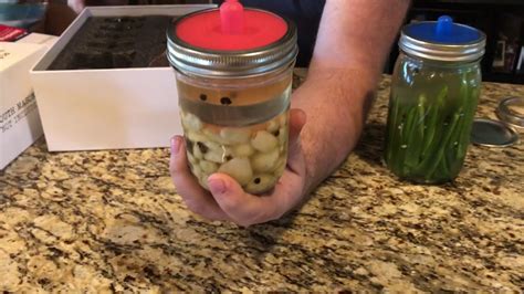 Masontops Complete Mason Jar Fermentation Kit With Pickle Pipes YouTube