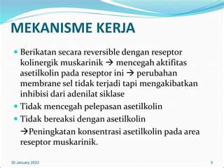 Chapter Obat Antikolinergik Ppt