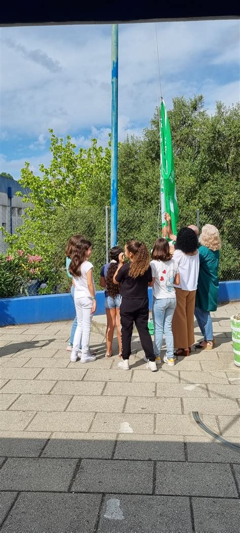 Bandeira Verde Do Programa Eco Escolas Agrupamento De Escolas De