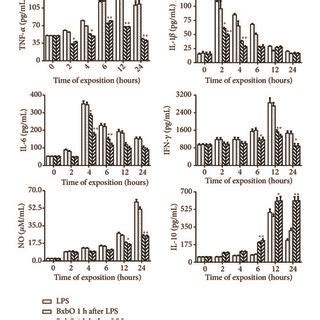 Effect Of Bxbo Extract On Il Il And Tnf Il A The Levels Of