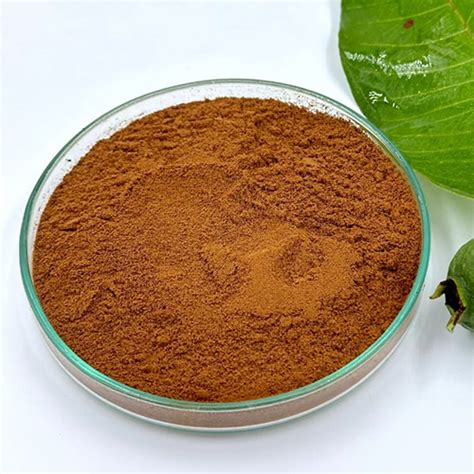 Buy Psidium Guajava Guava Leaf Dry Extract Powder In Bengaluru