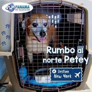 Panama Pet Relocation Export Permits