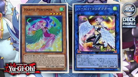 Yu Gi Oh Harpies Lady Deck Profile June 2019 Post Harpie Conductor