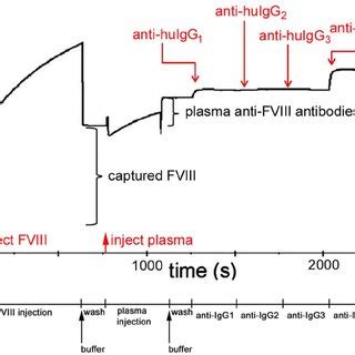 Representative Binding Curve Sensorgram Characterizing Anti Fviii