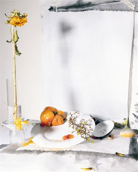 laura letinsky     exhibitions yancey richardson