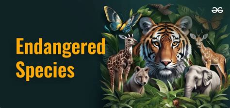 Endangered Species - Definition & List of Endangered Species - GeeksforGeeks