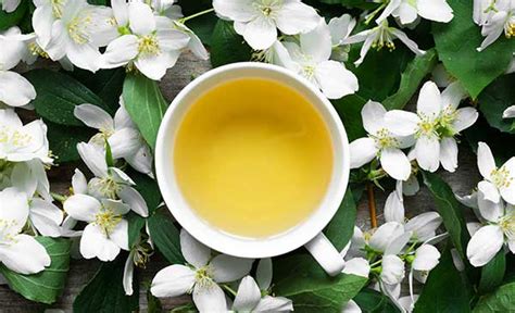 Does Jasmine tea have caffeine? Learn about Jasmine tea. – tealeavz.com