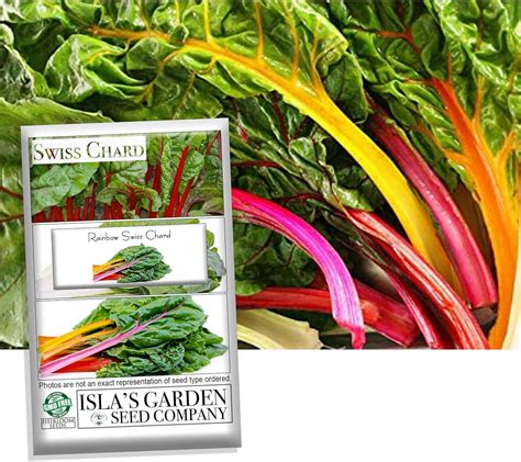 Rainbow Swiss Chard Seeds Heirloom Seeds Per Packet Isla S