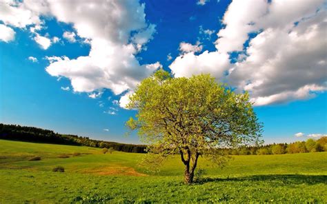 12 Paisajes Naturales Con Lagos Arboles Y Mares Para Contemplar En