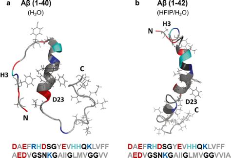 2 Solution Structure Of Aβ Monomer And Its Amino Acid Sequence