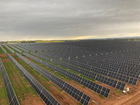 90 MW Sebastopol Solar Farm Near Wagga Wagga Reaches Commissioning