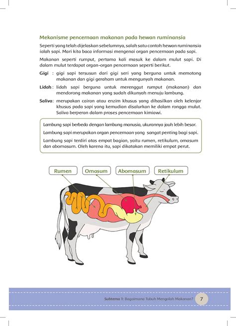 Kelas V Tema 3 Buku Siswa Makanan Sehat Sd Negeri Tanjunganom Halaman 13 Pdf Online Pubhtml5