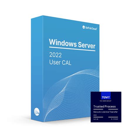 Microsoft Windows Server 2022 User CAL Usado