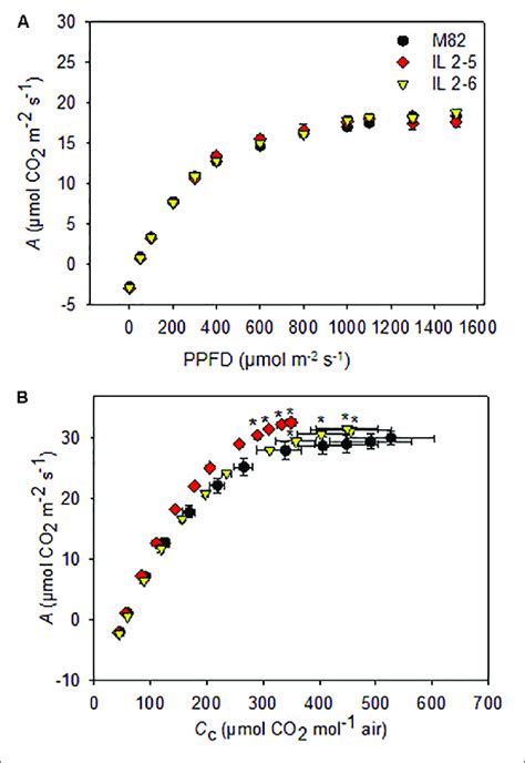 Photosynthesis Response Curves To Photosynthetic Photon Flux Density Download Scientific