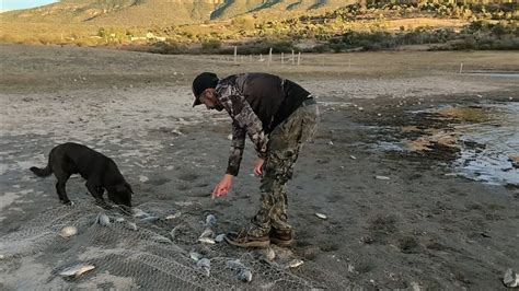 Mega Tarrayazo Casi Tilapias Iguana Gigante Tilapias Gigantes Youtube