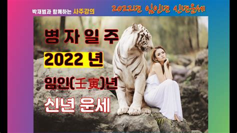 병자일주 2022년 임인년 신년 운세 Youtube