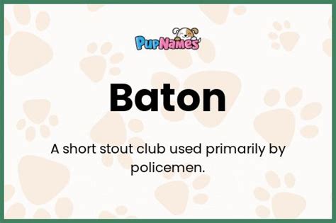 Baton Nombre De Perro Significado Y Popularidad PupNames