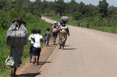 Beni D Placement Massif De La Population Apr S Signalement De La