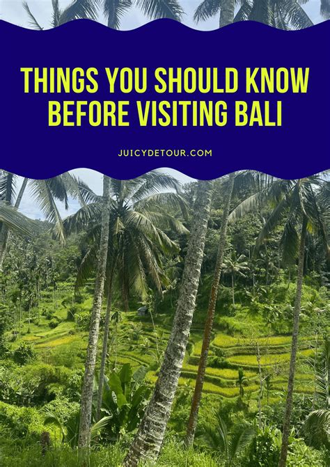 Things You Should Know Before Visiting Bali Juicy Detour