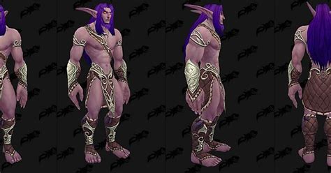 A Better Look At The New Night Elf Armor Worn By Npcs In The Bfa Beta Album On Imgur