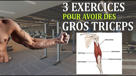 Comment Avoir De Gros TRICEPS 3 EXERCICES BASIQUE OBLIGATOIRE