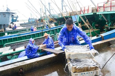 浙江三门：渔船进港避台风 人民图片网