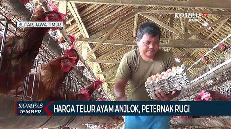 Harga Telur Ayam Anjlok Peternak Rugi Video Dailymotion