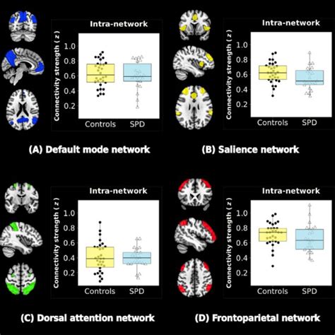 Resting State Networks Rsns And Intra Network Connectivity Four Rsns