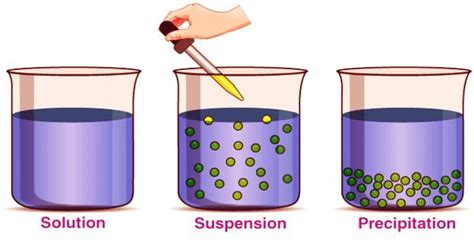 Suspension (Definition, Properties) - Assignment Point