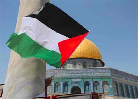 Mensaje Al Movimiento Nacional Para La Liberación De Palestina Por 57 Aniversario Tn8tv