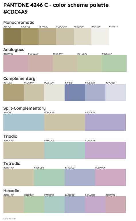 PANTONE 4246 C Color Palettes Colorxs