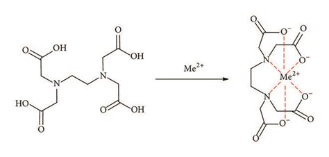 Mechanism Of Chelation Reaction With Metal Ions And Metal Ions On