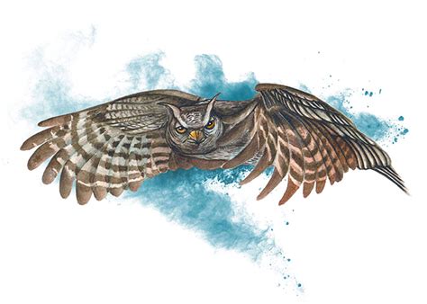 Flying Owl WC | Illustration & Fine Art