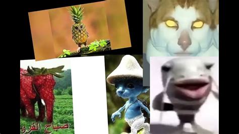 Smurf Cat Strawberry Elephant Pineapple Owl Goofy Fish Monday