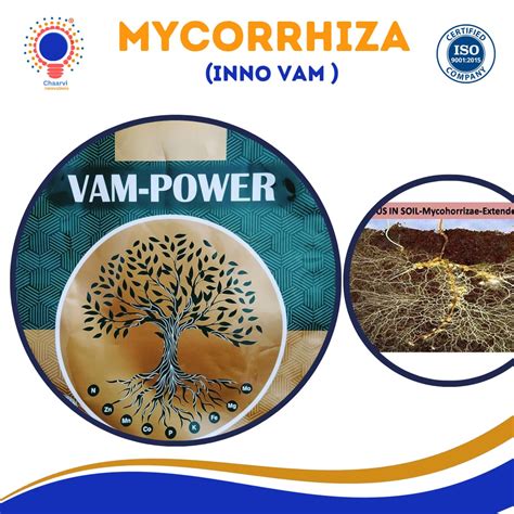 Mycorrhiza Root Care Micronutrient 1000grams Innovam Chaarvi Innovations