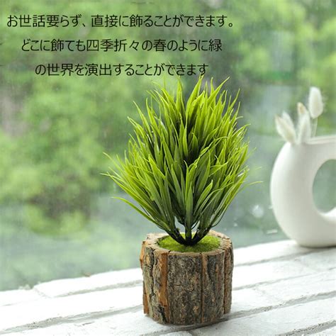 【楽天市場】フェイクグリーン 観葉植物 ミニ 人工 盆栽 フェイク 小さい 観葉植物 フェイクグリーン 鉢植え アレンジメント インテリア