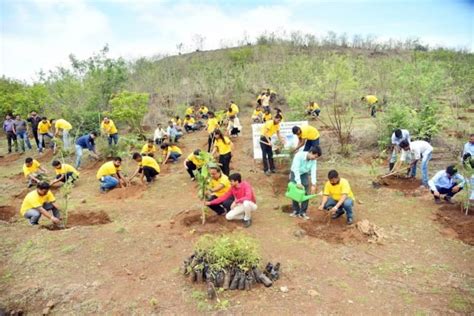 Sula Vineyards Join Hands With Govt For Tree Plantation Drive India Csr