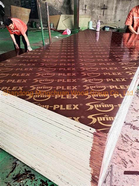 Brown Film Faced Plywood Formwork Construction Waterproof Plywood