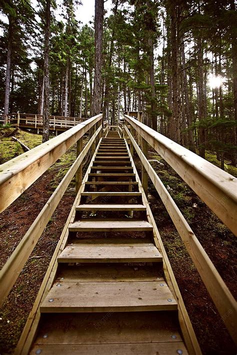 Wooden Stairsat Kitsumkalum Provincial Park Provincial Park Colorful Kitsumkalum Photo