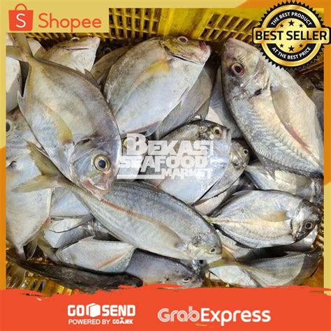 Jual Ikan Kuwe Segar Ikan Kuwe Fresh Ikan Kue Beku Ikan Kue 1kg