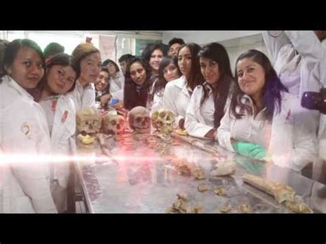 Dónde estudiar Antropología Forense en España Descubre las mejores