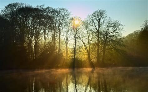 Free Picture Silhouette Dawn Sunrise Nature Sun Backlit Tree