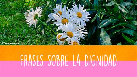 Frases de Dignidad frases célebres de Dignidad para compartir