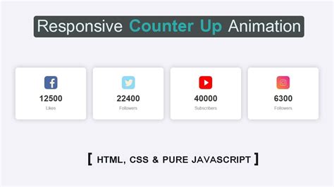 Responsive Counter Up Animation With Html Css Javascript How To