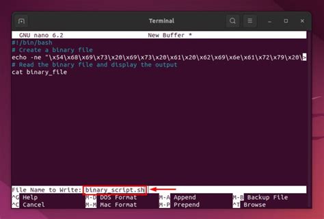 How To Run Binary Files In Linux 2 Best Ways