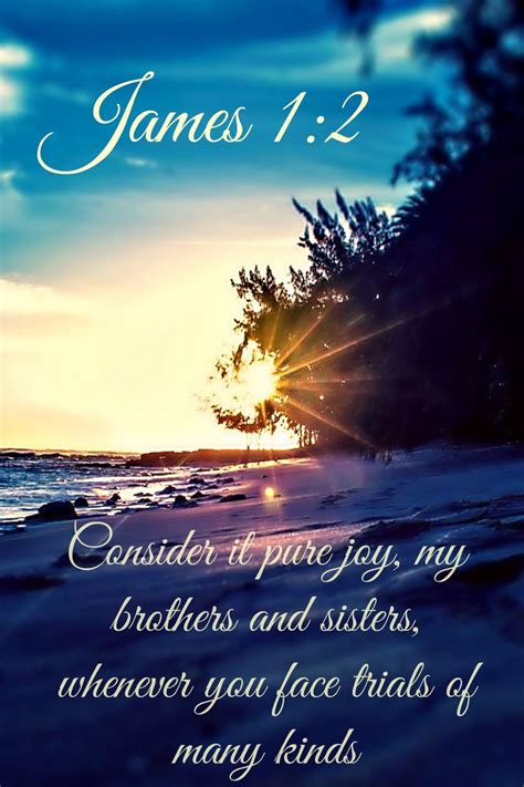 James 12 Niv