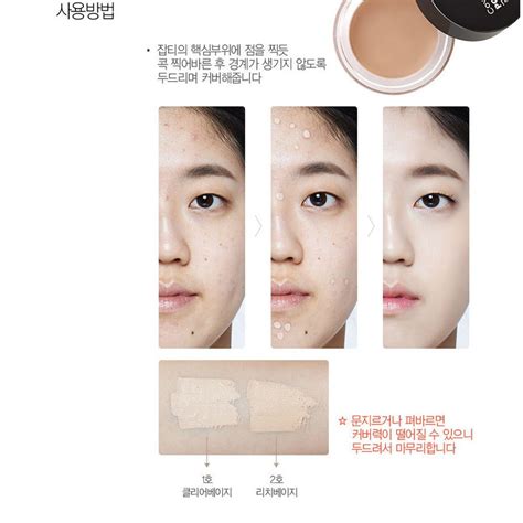 The Saem Cover Perfection Pot Concealer 4g Lazada PH