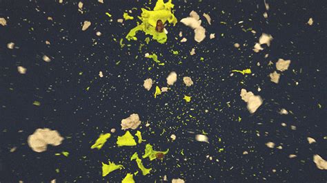 Hilarious And Surprising Bananas Gifs Fubiz Media